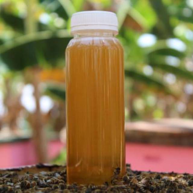 

MADU MURNI NEKTAR KALIANDRA TANPA CAMPURAN