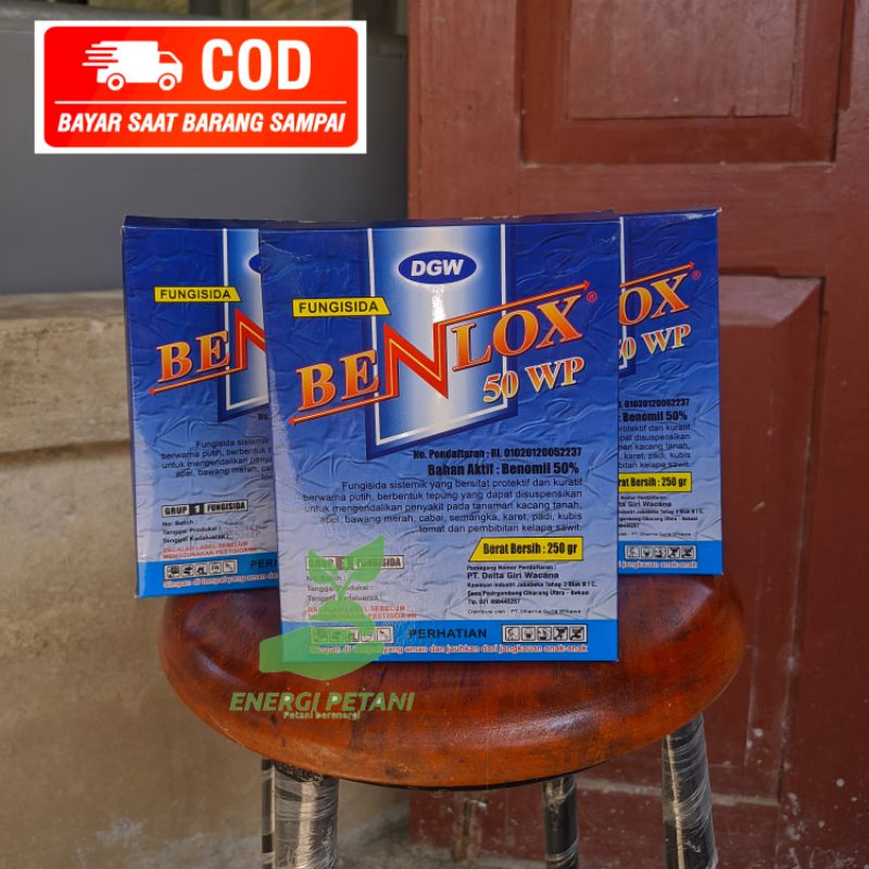 obat fungisida BENLOX 50WP sistemik 250gr