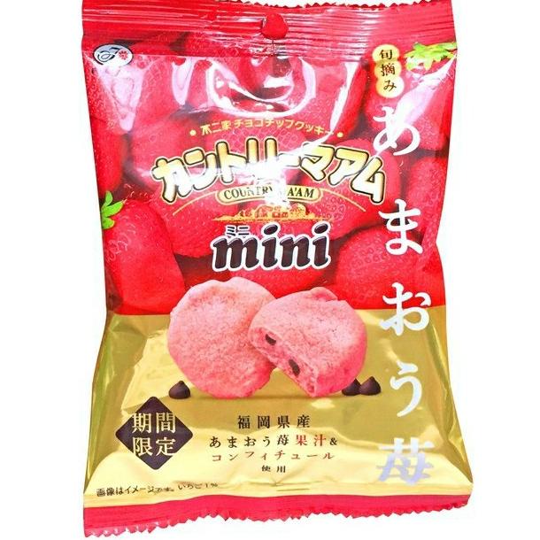 

KUE FUJIYA COUNTRY MA'AM MINI CHOCO-CHIP COOKIES XCD521XS