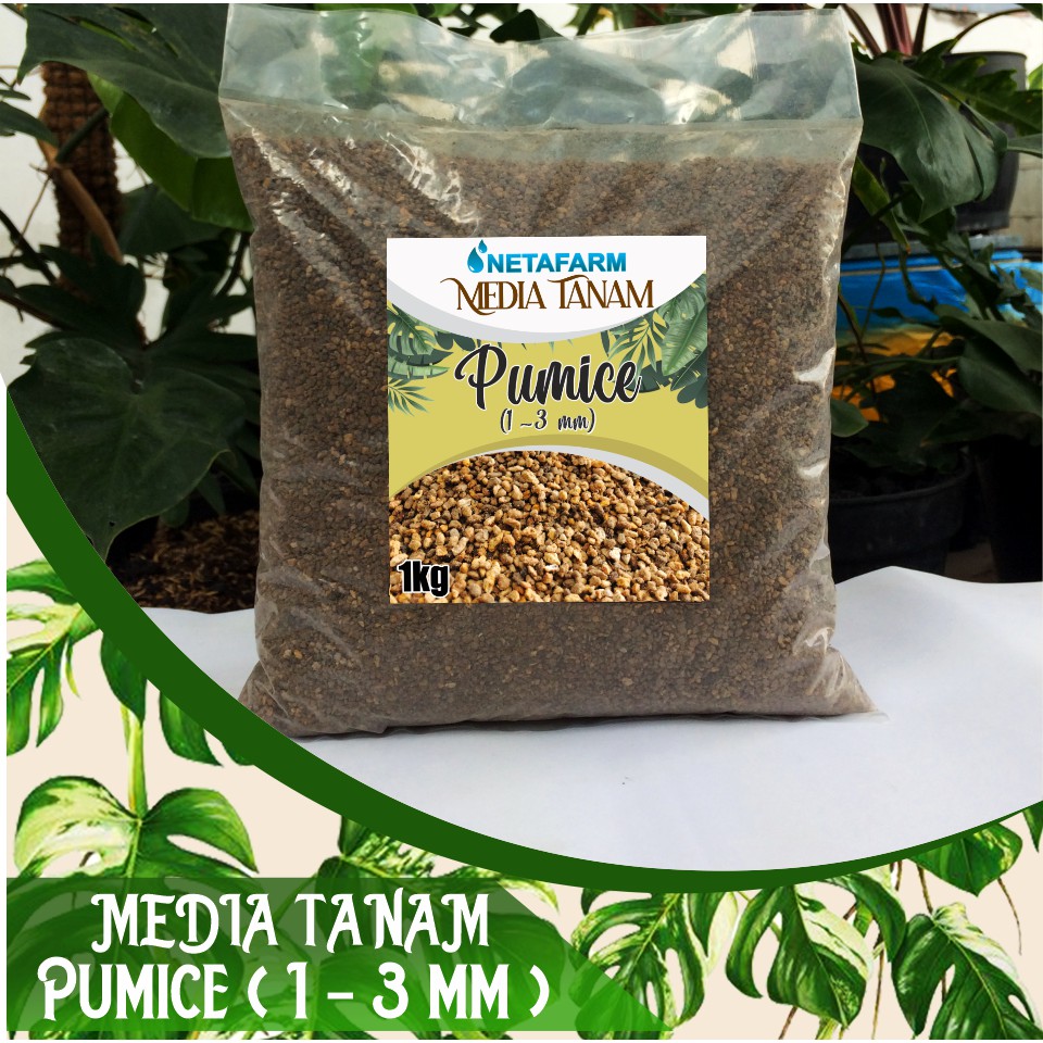 Media Tanam / Filter PUMICE / Batu Apung Kerikil size 1 - 3 mm - 1kg