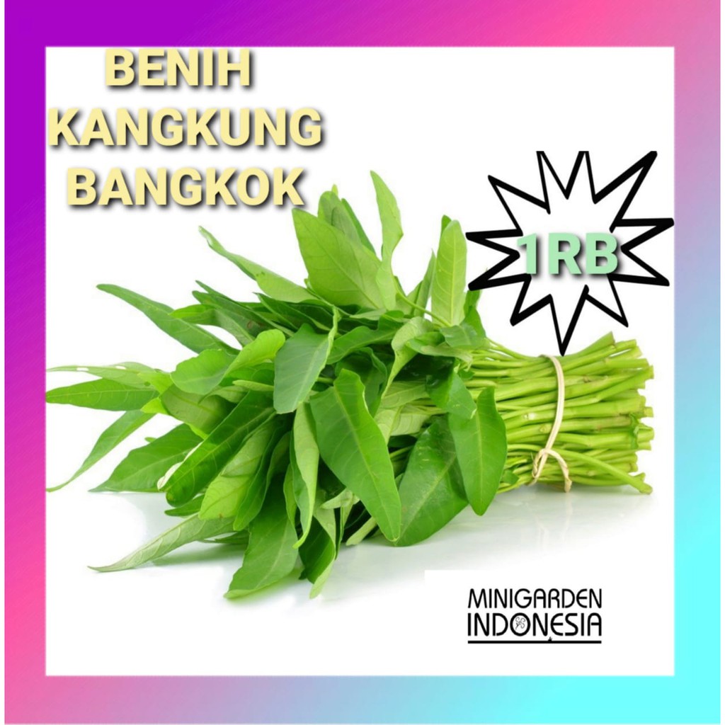 [Checkout Rp 1000] Benih Kangkung Bangkok LP-1 repack bibit tanaman sayur sayuran hidroponik