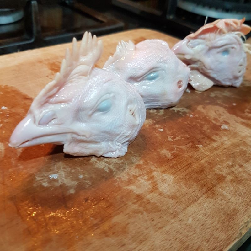 

Kepala Ayam Broiler