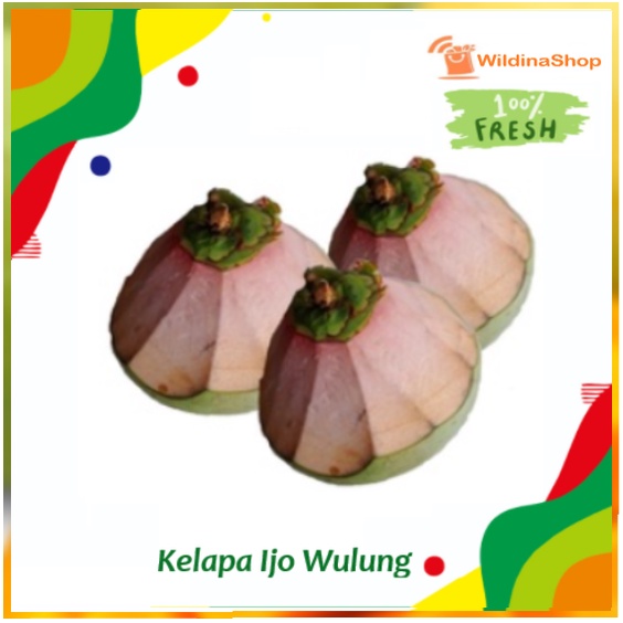 Air Kelapa Ijo Asli Kelapa Obat [ 1 buah ]