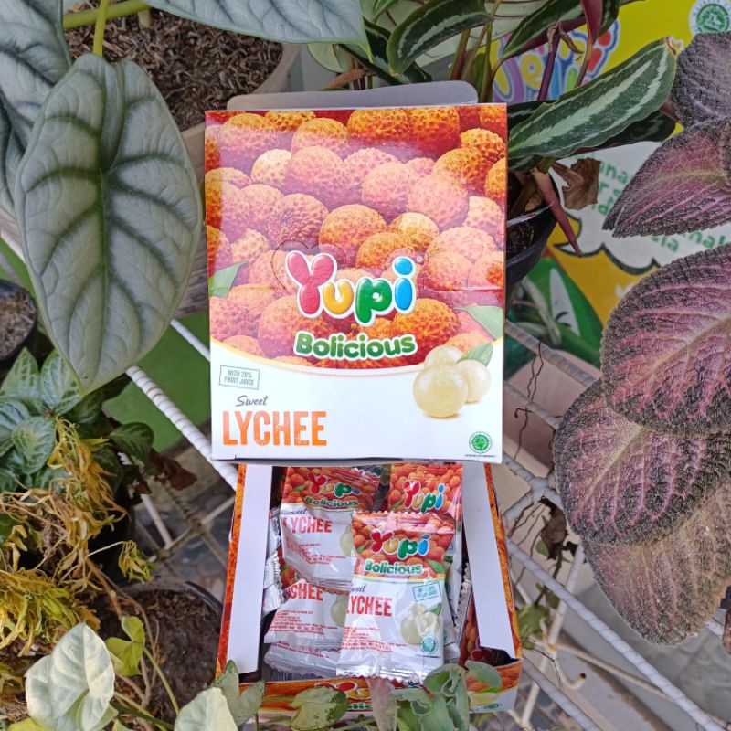 PERMEN YUPI BOX ANEKA RASA ISI 24PCS