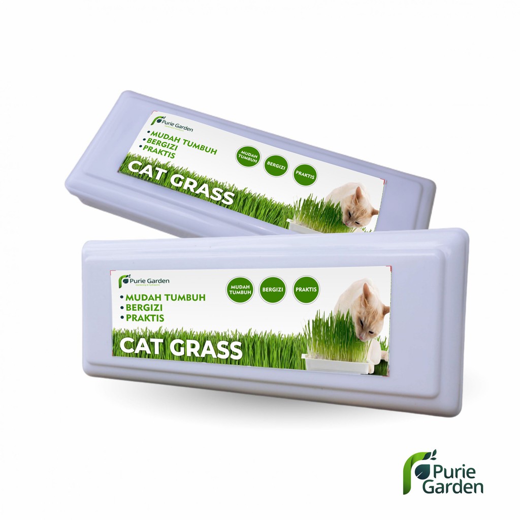 Paket Cat Grass Microgreen Rumput Gandum Kucing PG KDR