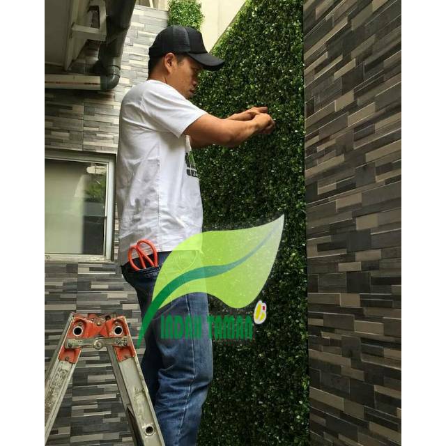 Daun Sintetis - Tanaman Rambat Dolar Sintetis - Dolar Sintetis Shabby