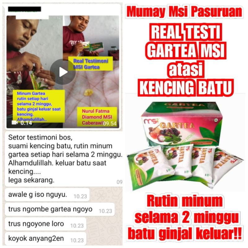 GARTEA MSI (Minuman Kesehatan & Pelangsing)
