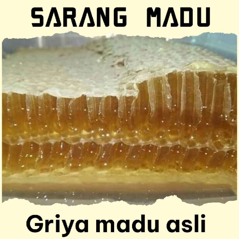 

TERMURAH//SARANG MADU ASLI//SARANG MADU 500gram//