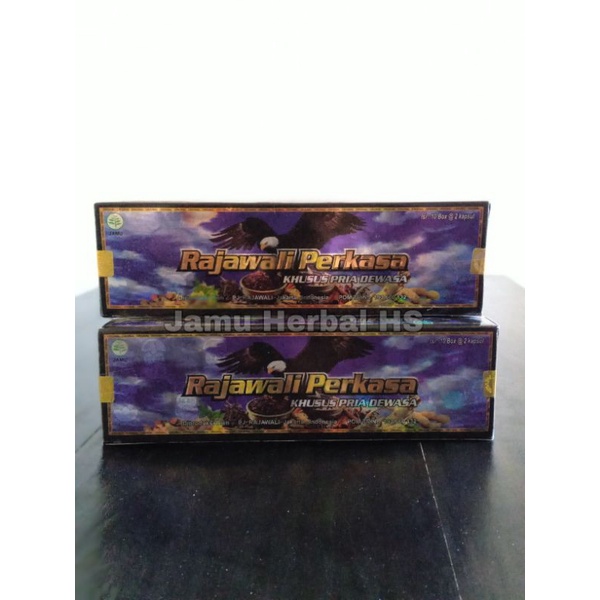 rajawali kapsul