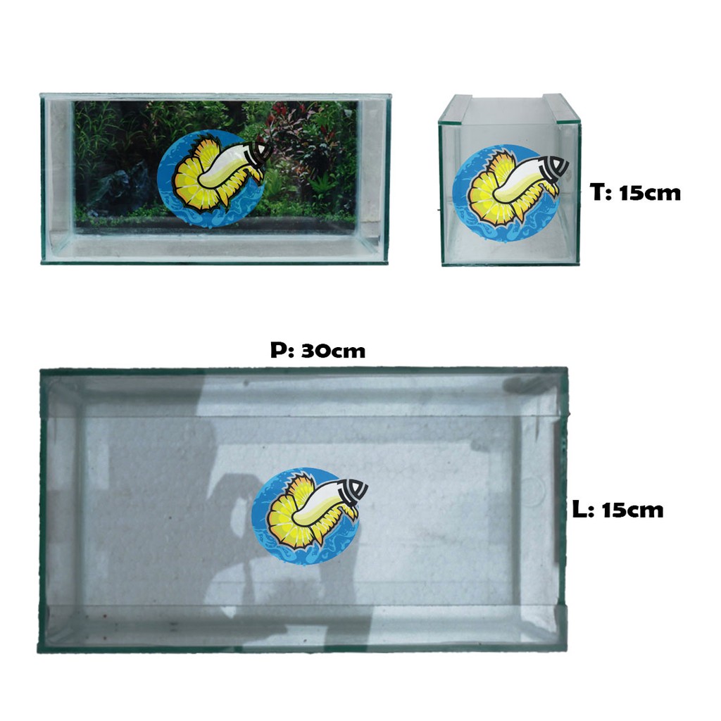 Aquarium Aquascape Background 30x15x15