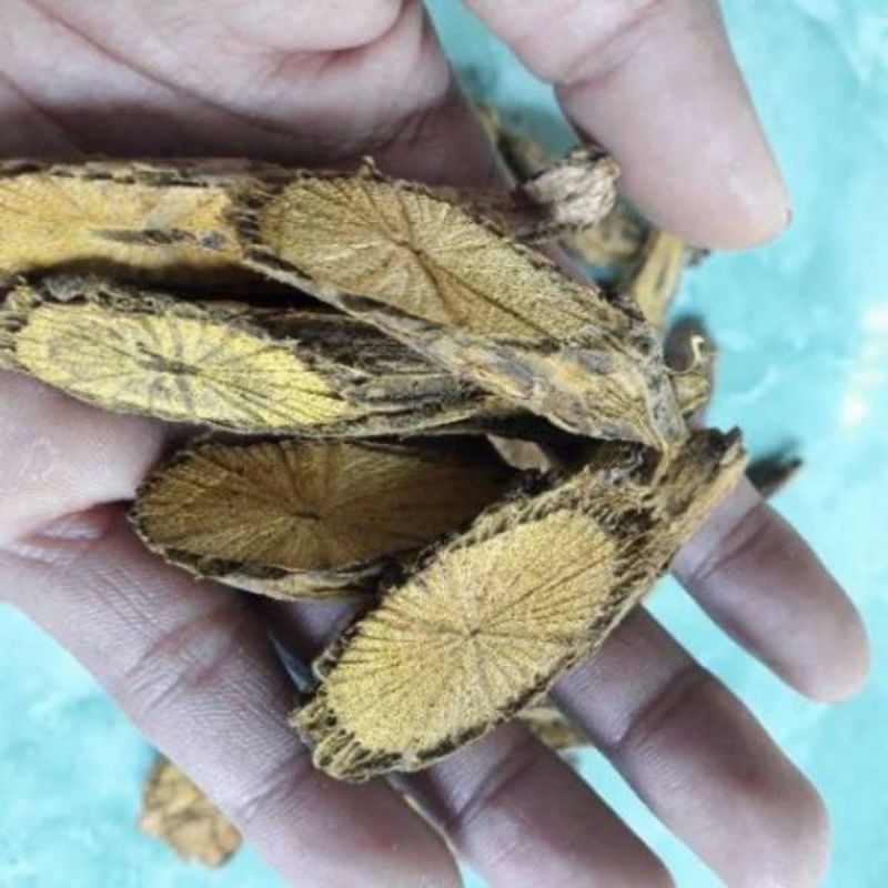 

kayu bajakah kalimantan/100g