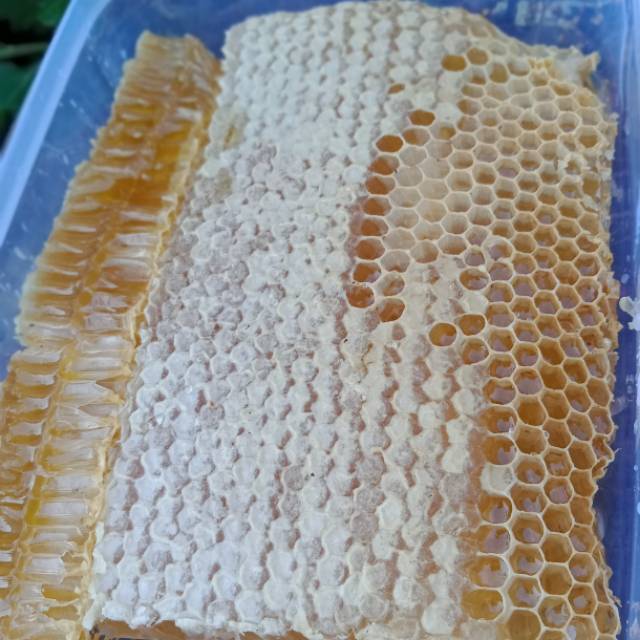 

MADU SARANG MALLIFERA 500 GRAM