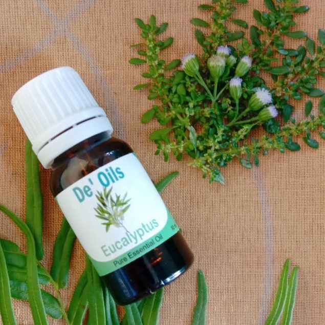 De'Oils Eucalyptus Essential Oil Murni Berkualitas Imune Booster Alami Aromateraphy Minyak Atsiri Murni Difuser Humidifier