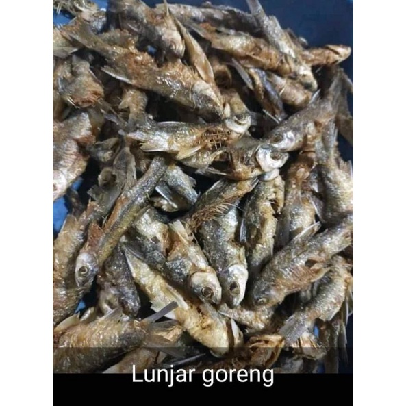 

Ikan bilih goreng(lunjar jowo)