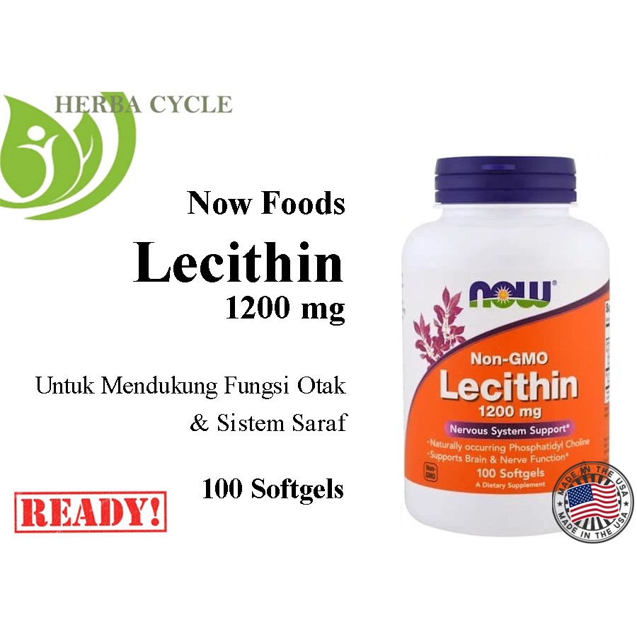 Now Foods Lecithin 1200 mg 100 gel Vitamin Syaraf Ori USA Now Lecithin Saraf