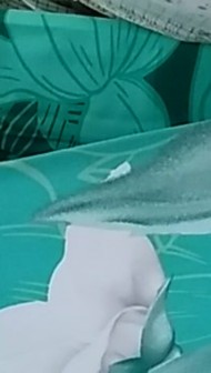 Sprei Lady Rose Bantal 4 180x200 T20 Motif Hindia Shinta Luxio Shinta Chiqa Sp180b4ldr Sleepwell