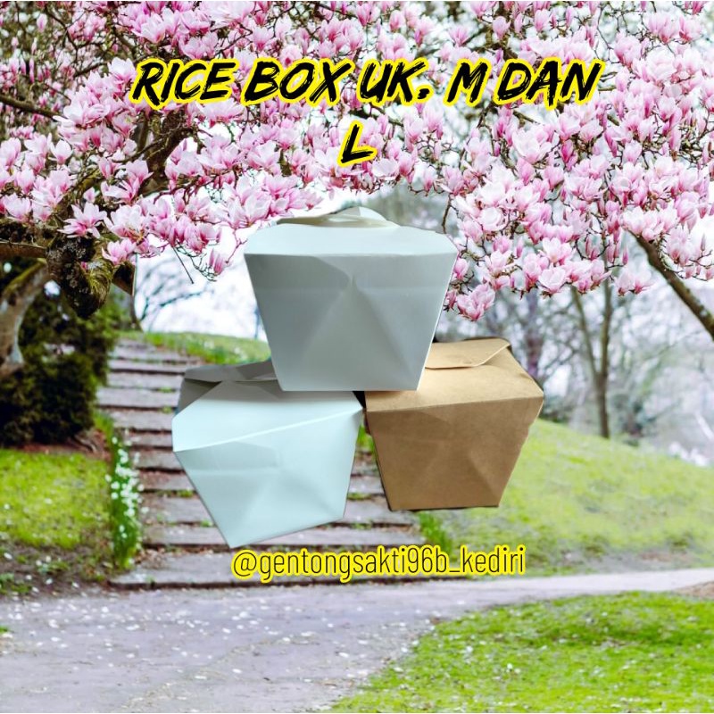 

Rice Box / foodgrade ukuran M L