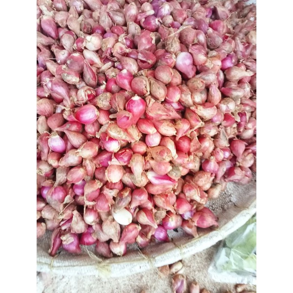 

Bawang Merah