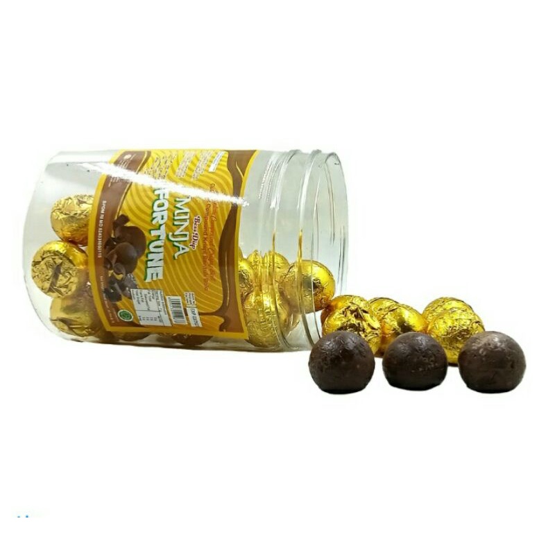 MINJA FORTUNE BESS DIIP COKLAT BALL TOPLES