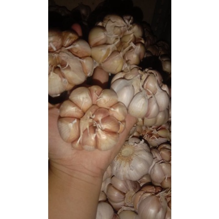

bawang putih