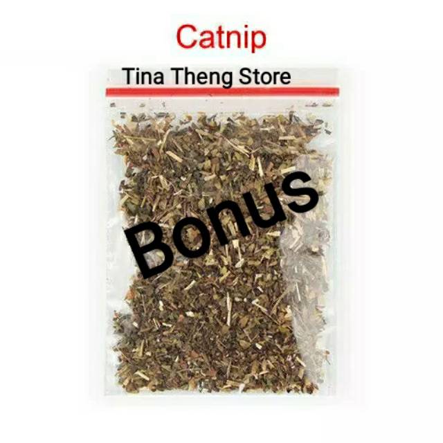 Mainan Kucing &quot;PAPAN CAKAR SISAL BESAR&quot; Cat Scratcher Toys