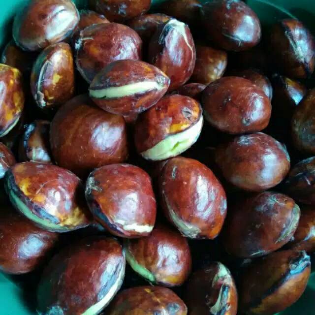 

Puri Segar Shop, JENGKOL 250 GRAM (JENGKOL TUA ).