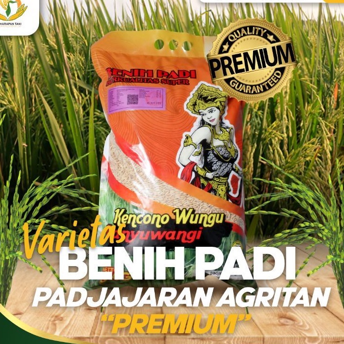 benih padi unggul varietas padjajaran / PADJAJARAN , benih padi premium padjajaran