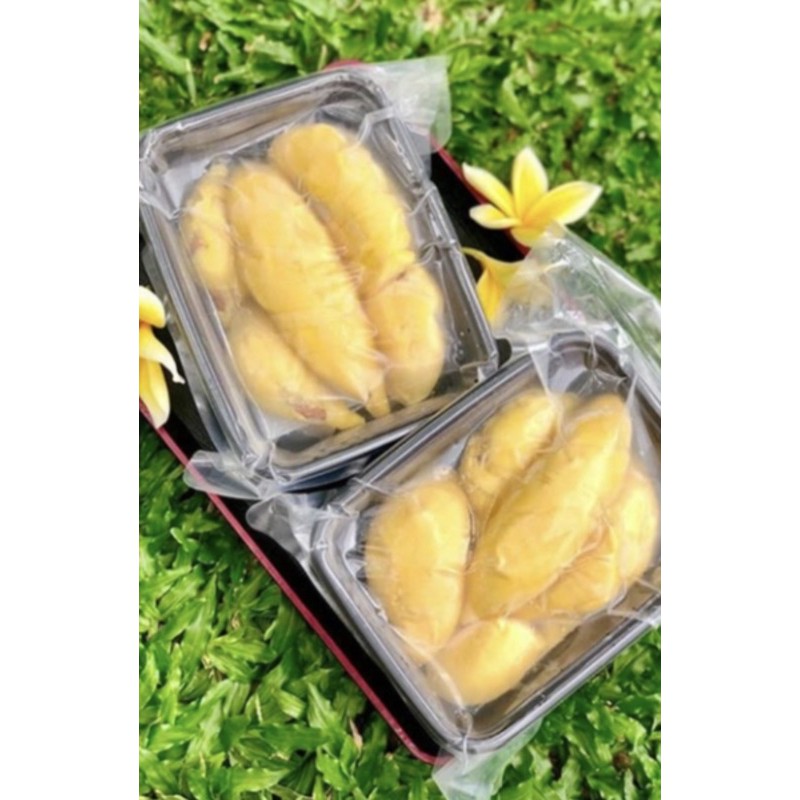 

Durian Musang King
