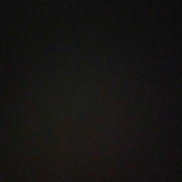 Biji Benih Paprika Mixed