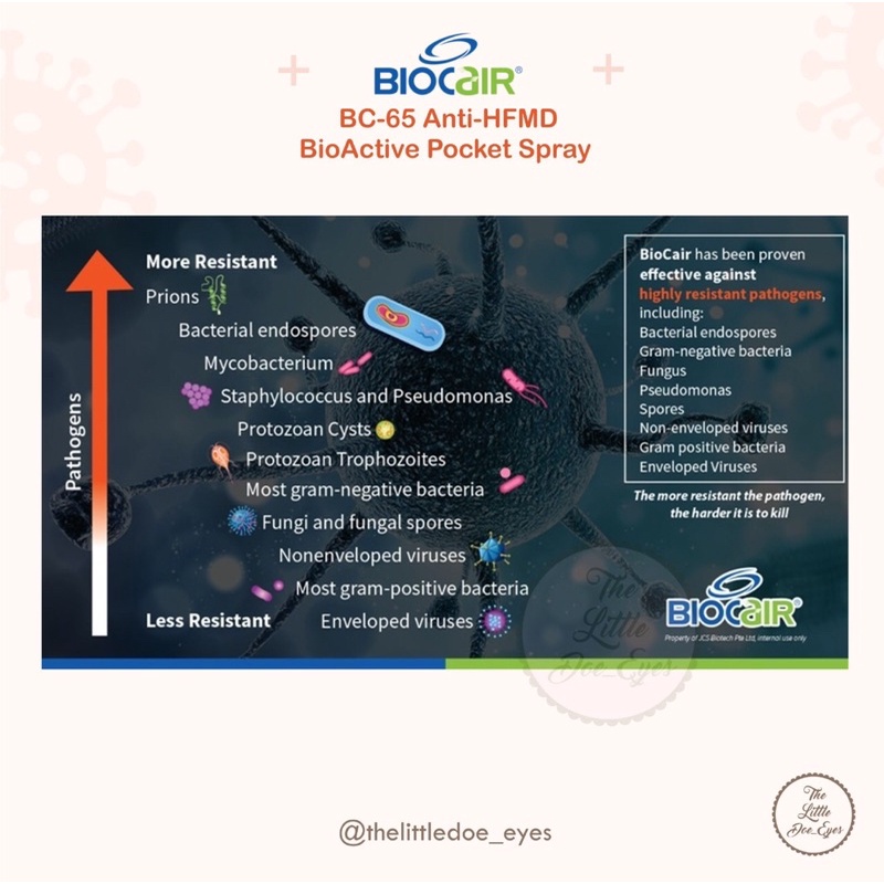 [READY] BioCair BioActive Pocket Spray EXP 06/2023