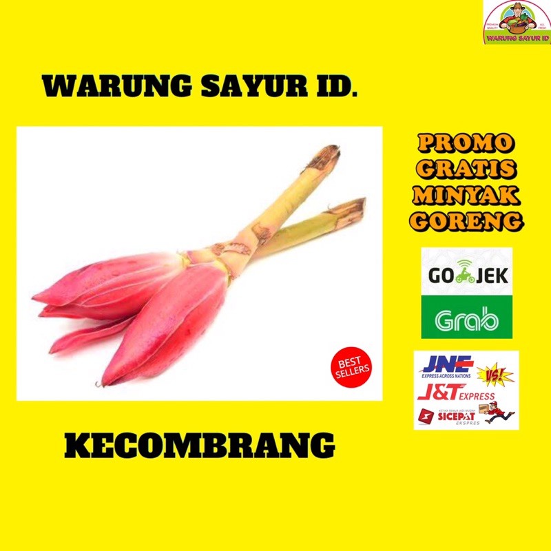 

KECOMBRANG