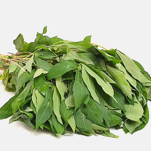 Daun Singkong Organik 200g / Organic Cassava Leaves 200g