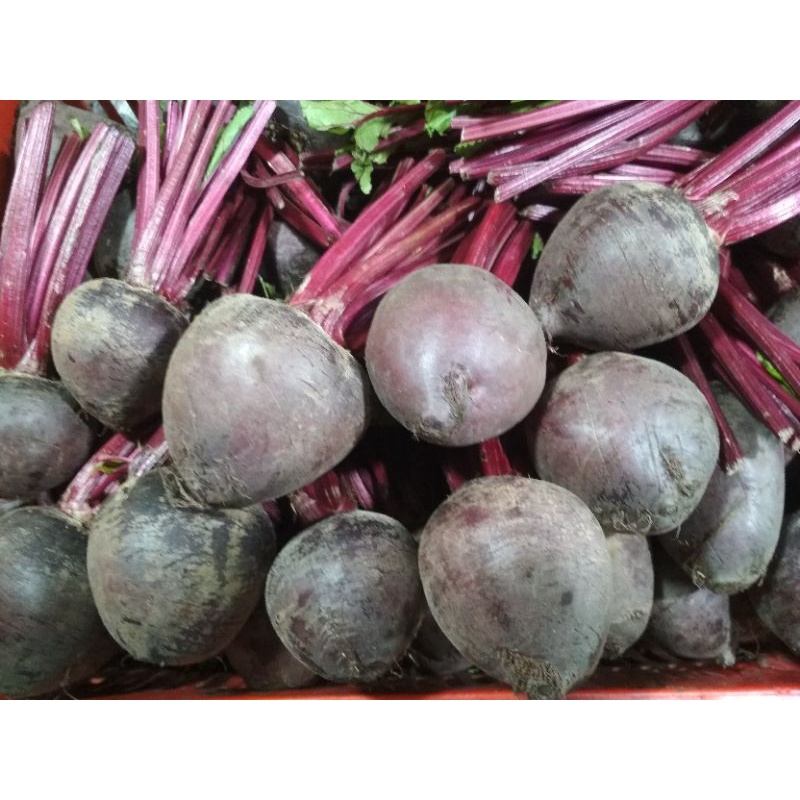 

buah beet