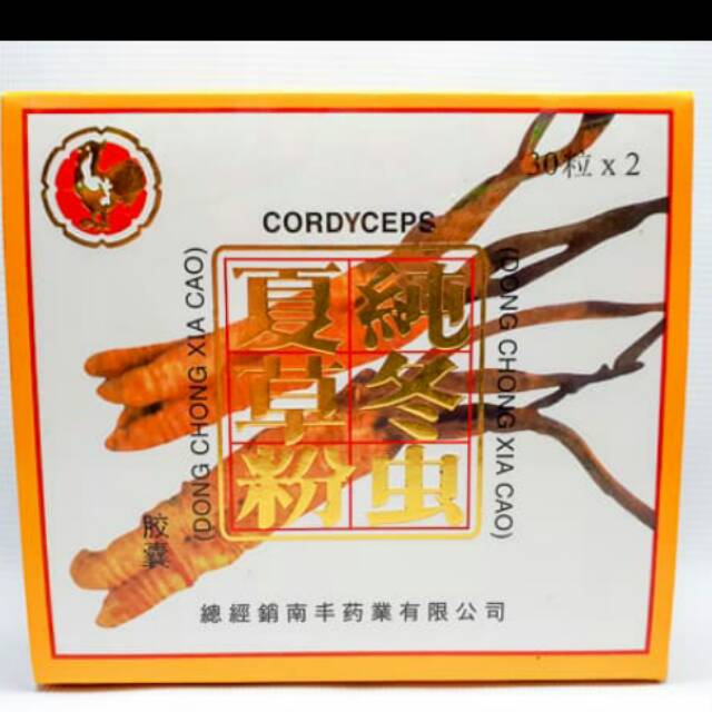 Cordyceps / Dong Chong Xia Cao Kapsul