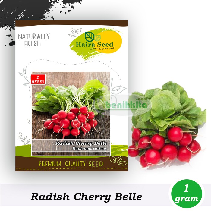 Benih-Bibit Lobak/Radish Cherry Belle (Haira Seed)