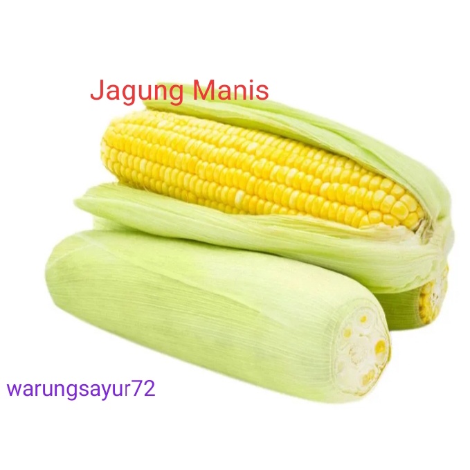 

Jagung Manis 1Biji