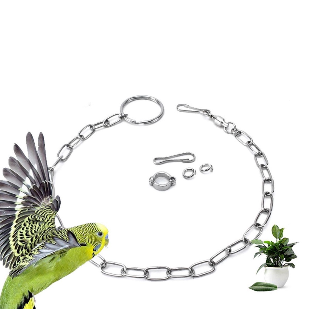 Rebuy Bird Foot Chain Cockatiel Budgerigar Stainless Steel Split Flying Training Harness