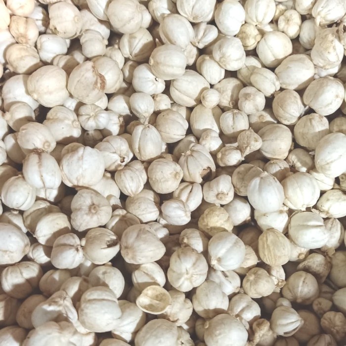 

Kapulaga Putih Kapolaga Puith Super 10 gram