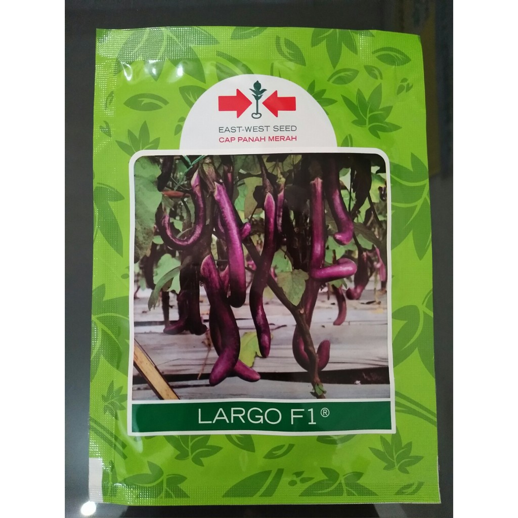 Terong Largo F1 5 gr