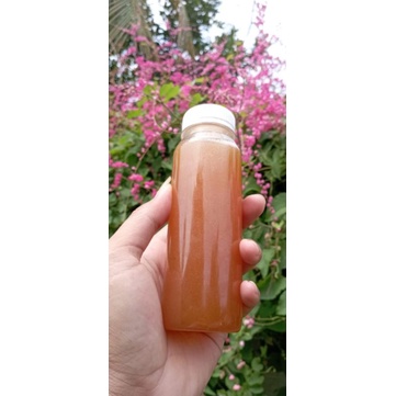 

madu klanceng asli