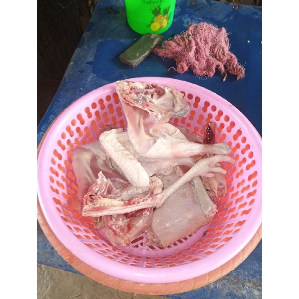 

Ayam Kampung Asli