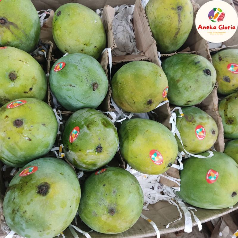 

Buah Mangga Harum Manis Segar 800 gr - 1 KG