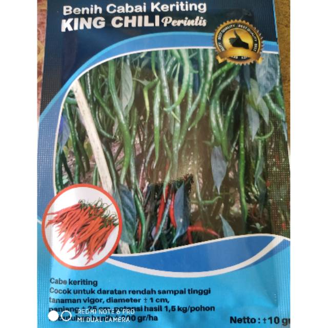 Benih cabe KING CHILI PERINTIS 10g  Shopee Indonesia