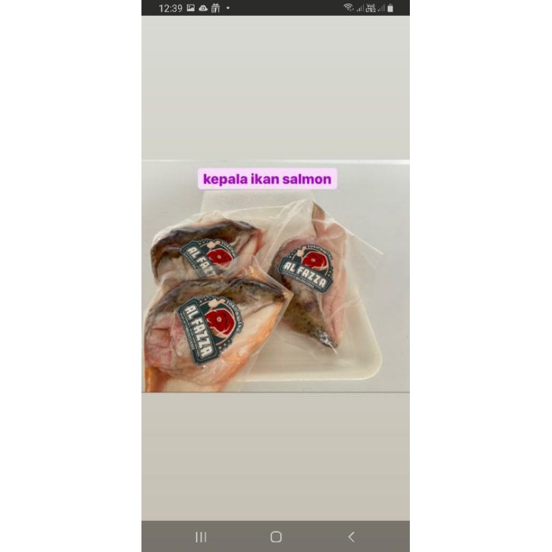 

Kepala ikan salmon
