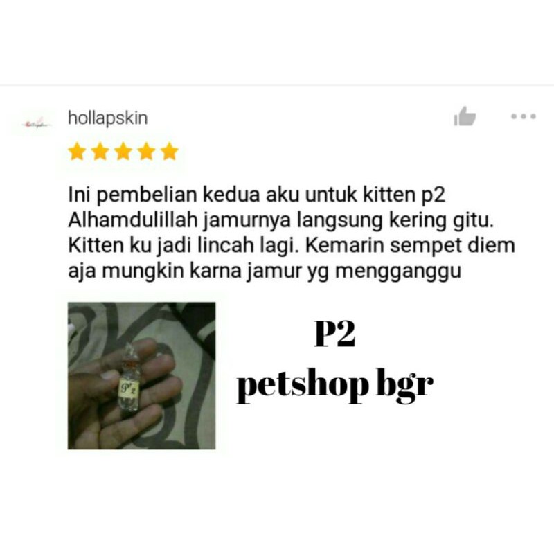 p2  paket vitamin uky amino obat jamur kutu koreng scabies luka kulit kucing 100ml