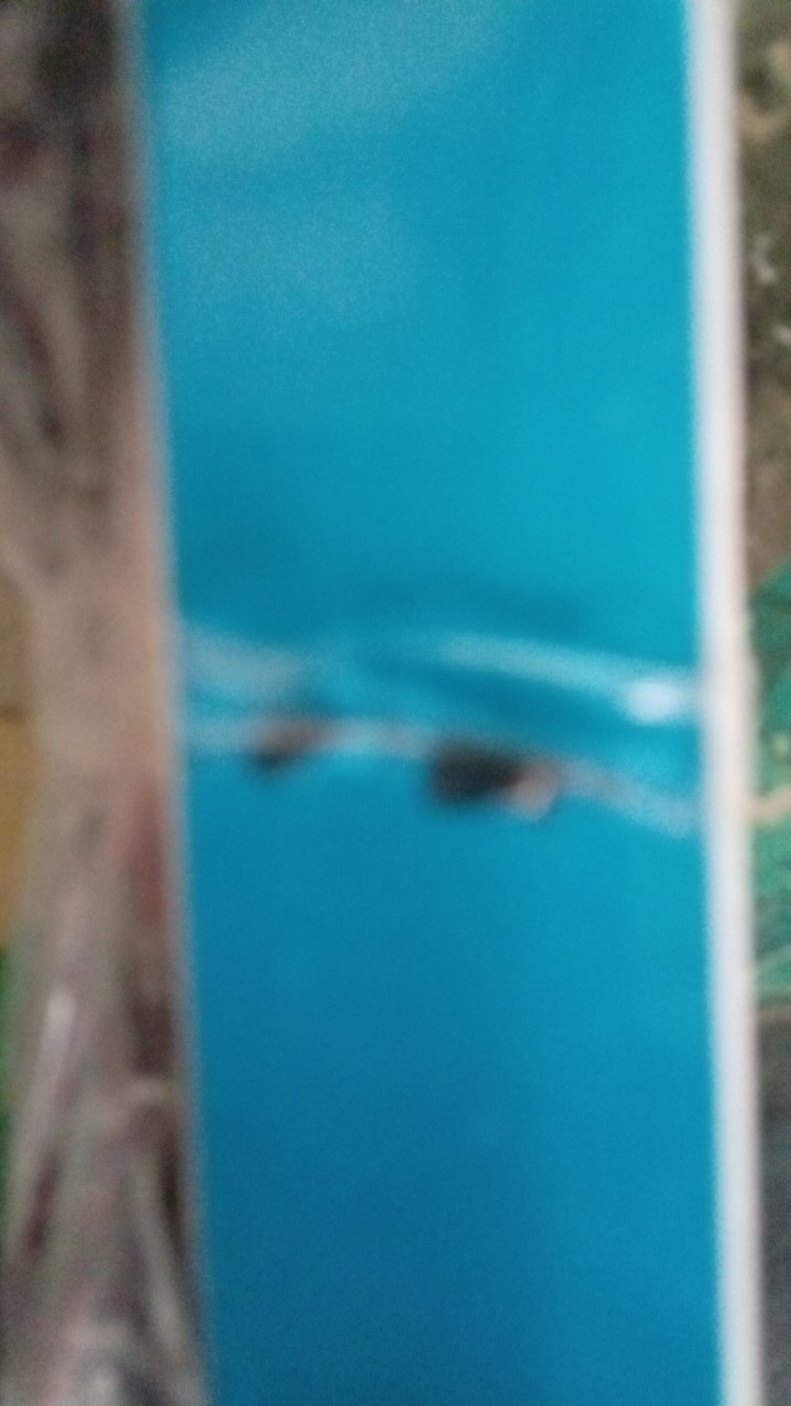 Huruf Angka Nomer Rumah Kuningan Tinggi 10 Cm Angka Nomor  4