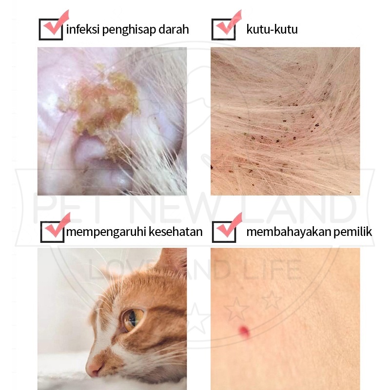 Kalung Anti Kutu Kucing Anjing Anti Serangga Pinjal Dapat Disesuaikan Aksesoris Hewan Peliharaan