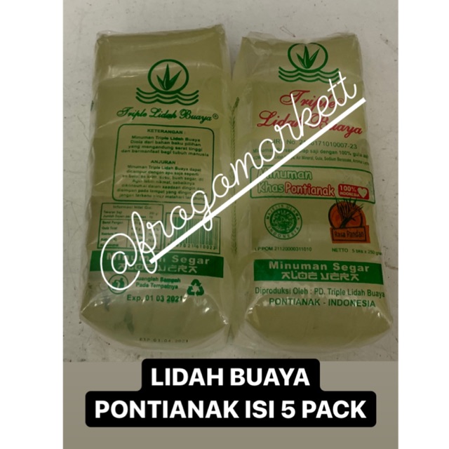 Lidah Buaya Pontianak (Isi 5)