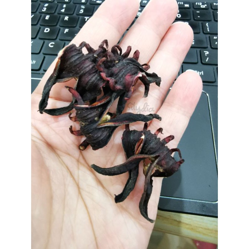 

100% ALAMI ROSELA kering bawah matahari