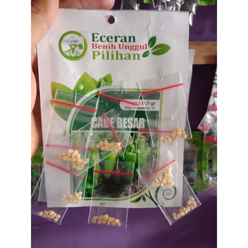 

Cabe besar